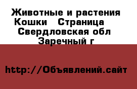 Животные и растения Кошки - Страница 3 . Свердловская обл.,Заречный г.